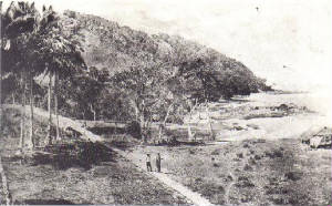 cuttenbingilbaycreekwoodenrailway1902abriginalgunyahs.jpg